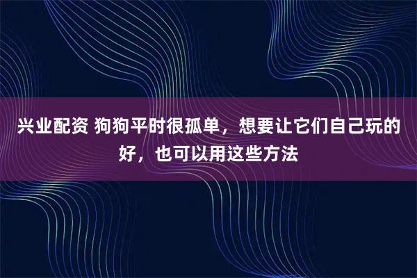 兴业配资 狗狗平时很孤单，想要让它们自己玩的好，也可以用这些方法