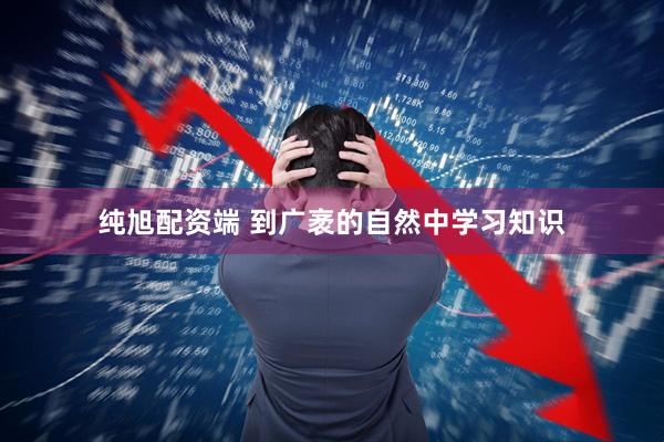 纯旭配资端 到广袤的自然中学习知识